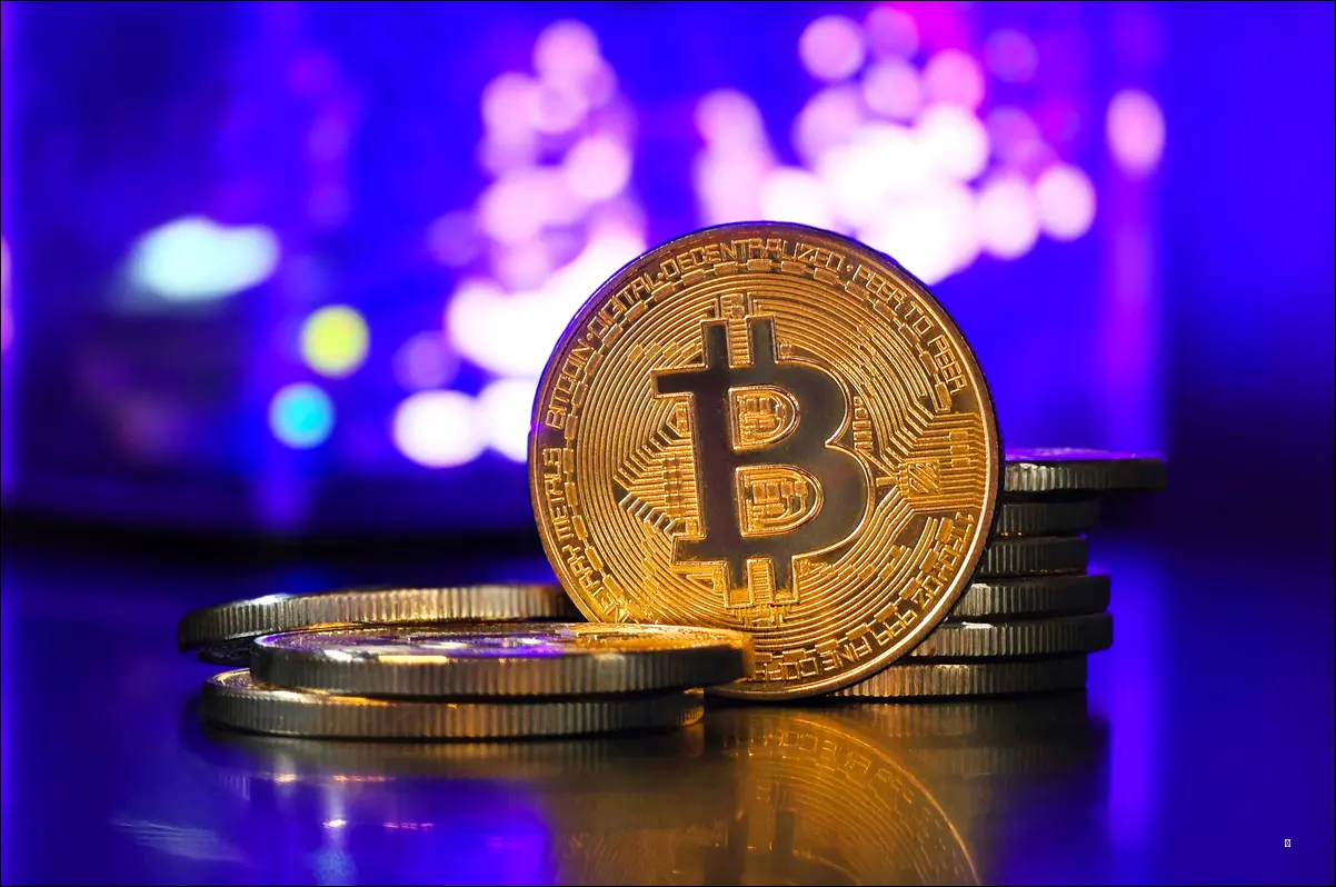 Pycoin(파이코인) vs 다른 암호화폐: 한눈에 비교 분석