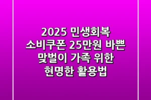 2025 민생회복 소비쿠폰 25만원, 바쁜 맞벌이 가족 위한 현명한 활용법