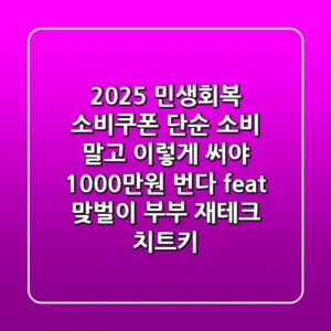 2025 민생회복 소비쿠폰, 단순 소비 말고 '이렇게' 써야 1000만원 번다? (feat. 맞벌이 부부 재테크 치트키)