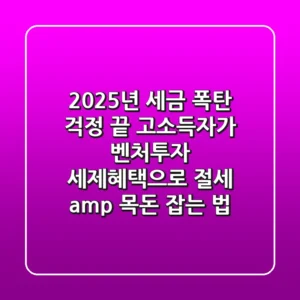 2025년 세금 폭탄 걱정 끝! 고소득자가 벤처투자 세제혜택으로 절세 & 목돈 잡는 법