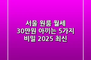 서울 원룸 월세, 30만원 아끼는 5가지 비밀 (2025 최신)