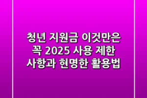 청년 지원금, 이것만은 꼭! 2025 사용 제한 사항과 현명한 활용법