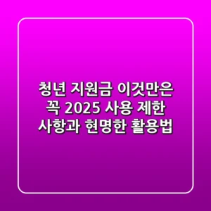 청년 지원금, 이것만은 꼭! 2025 사용 제한 사항과 현명한 활용법