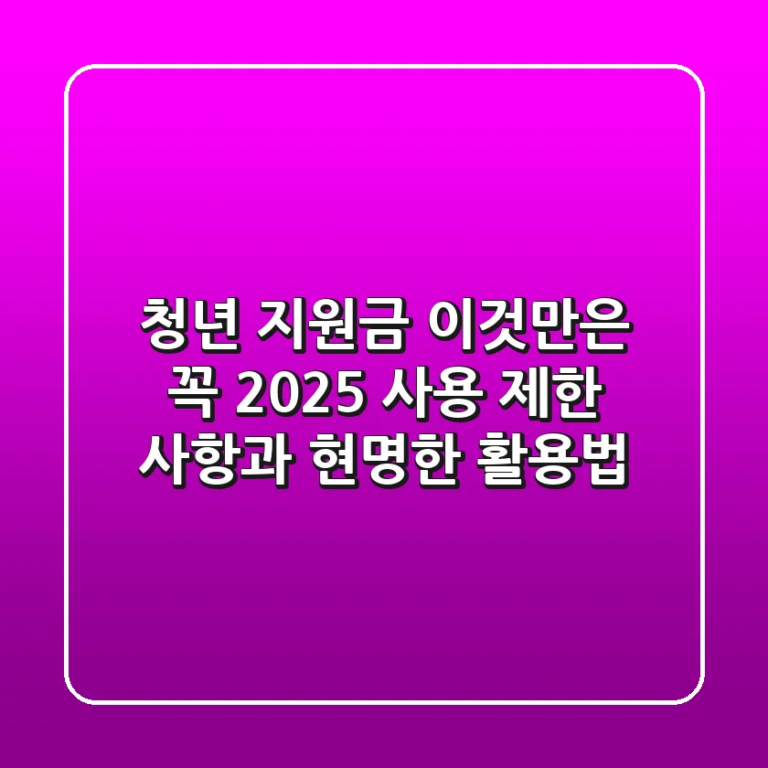 청년 지원금, 이것만은 꼭! 2025 사용 제한 사항과 현명한 활용법