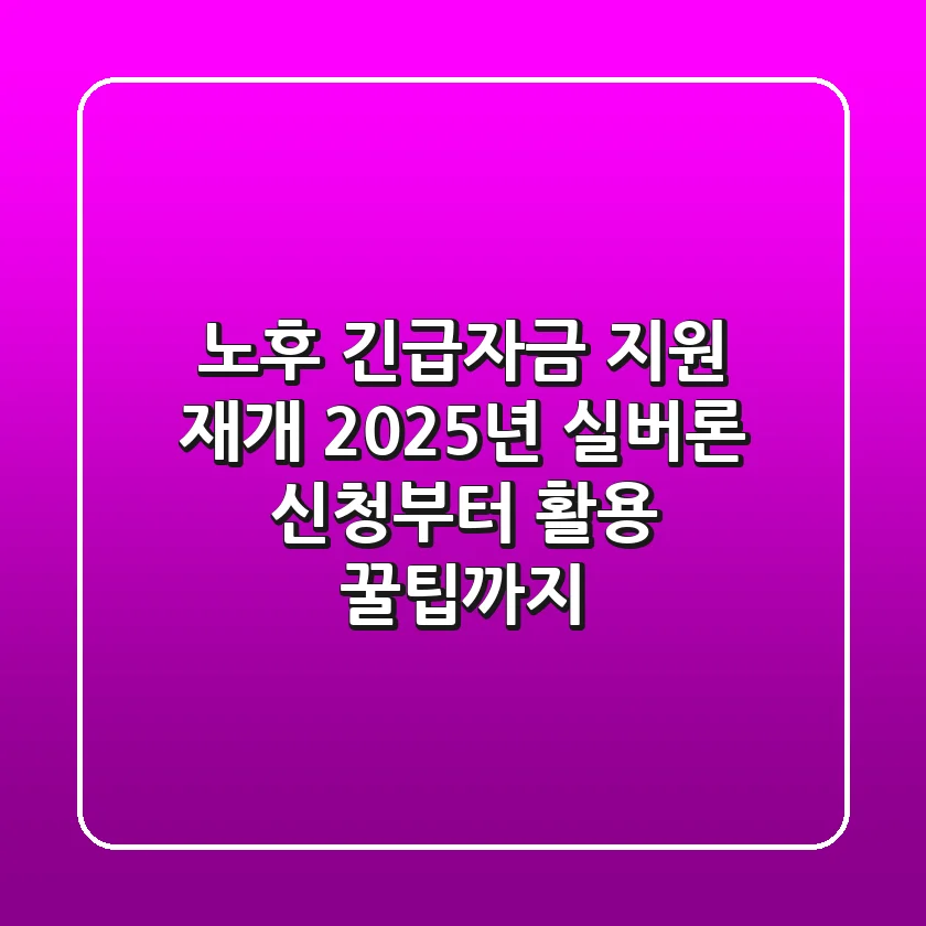 노후 긴급자금 지원 재개! 2025년 실버론 신청부터 활용 꿀팁까지
