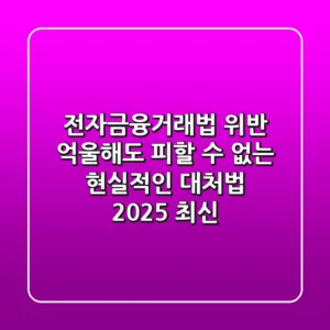전자금융거래법 위반, 억울해도 피할 수 없는 현실적인 대처법 (2025 최신)