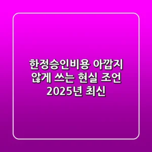 한정승인비용, 아깝지 않게 쓰는 현실 조언 (2025년 최신)