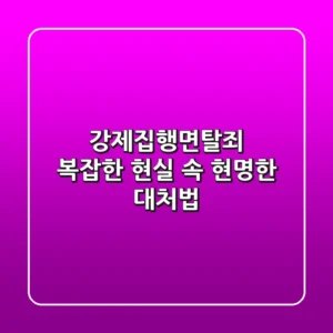 강제집행면탈죄, 복잡한 현실 속 현명한 대처법