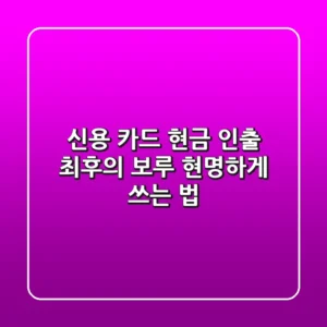 신용 카드 현금 인출, 최후의 보루 현명하게 쓰는 법