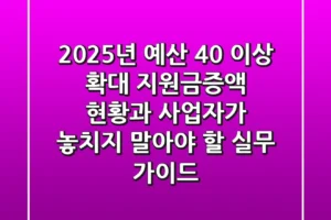“2025년 예산 40% 이상 확대”, 지원금증액 현황과 사업자가 놓치지 말아야 할 실무 가이드