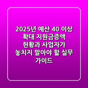 "2025년 예산 40% 이상 확대", 지원금증액 현황과 사업자가 놓치지 말아야 할 실무 가이드