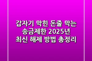 “갑자기 막힌 돈줄 막는” 송금제한 2025년 최신 해제 방법 총정리