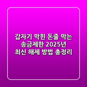 "갑자기 막힌 돈줄 막는" 송금제한 2025년 최신 해제 방법 총정리