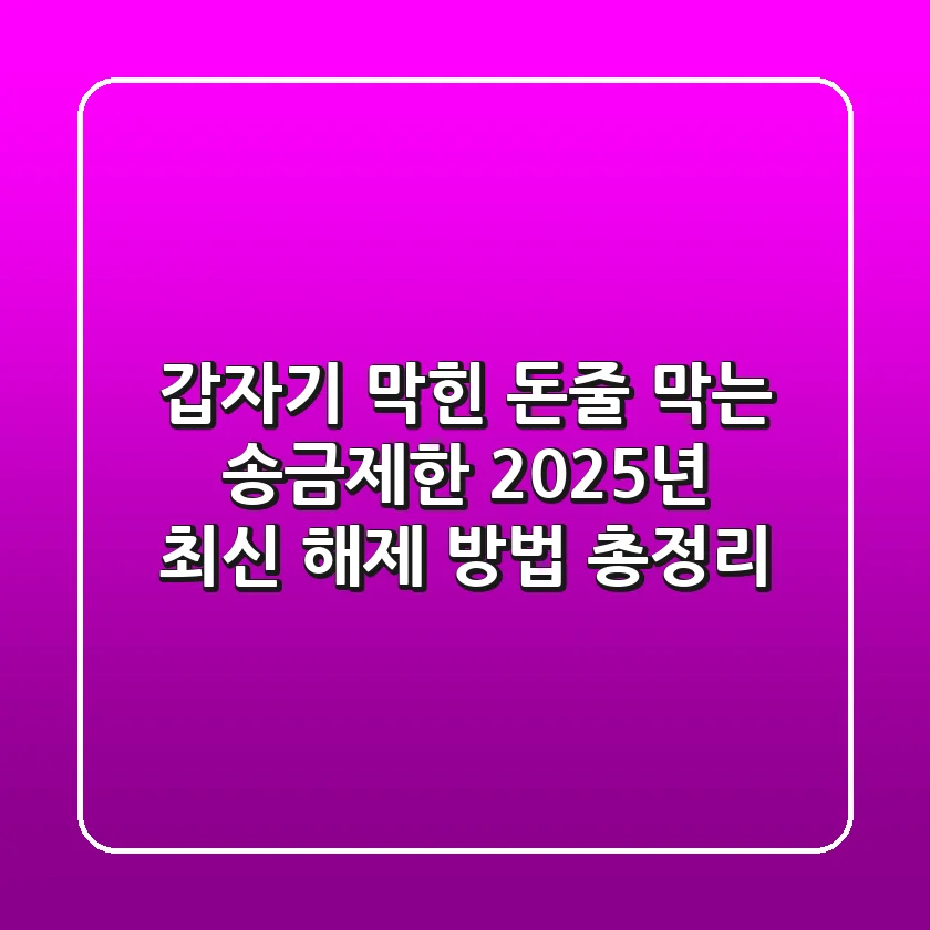 "갑자기 막힌 돈줄 막는" 송금제한 2025년 최신 해제 방법 총정리