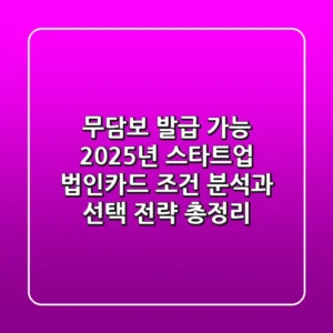 "무담보 발급 가능?", 2025년 스타트업 법인카드 조건 분석과 선택 전략 총정리
