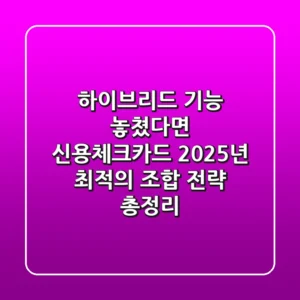 "하이브리드 기능 놓쳤다면?", 신용체크카드 2025년 최적의 조합 전략 총정리