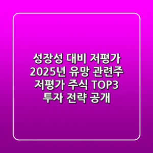 "성장성 대비 저평가", 2025년 유망 관련주 저평가 주식 TOP3 투자 전략 공개