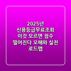 2025년 신용등급무료조회, '이것' 모르면 점수 떨어진다? 오해와 실전 로드맵