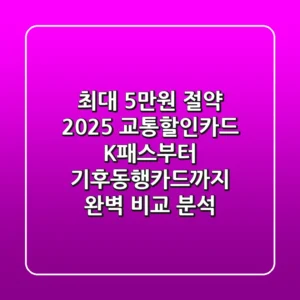 "최대 5만원 절약?", 2025 교통할인카드 K-패스부터 기후동행카드까지 완벽 비교 분석