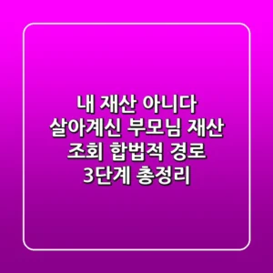 "내 재산 아니다", 살아계신 부모님 재산 조회 합법적 경로 3단계 총정리