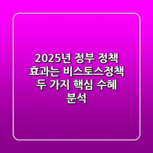 "2025년 정부 정책 효과는?", 비스토스정책, 두 가지 핵심 수혜 분석
