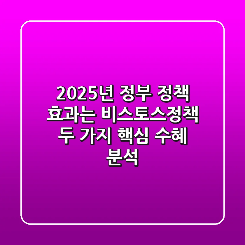 "2025년 정부 정책 효과는?", 비스토스정책, 두 가지 핵심 수혜 분석