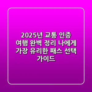 "2025년 교통, 인증, 여행 완벽 정리", 나에게 가장 유리한 '패스' 선택 가이드