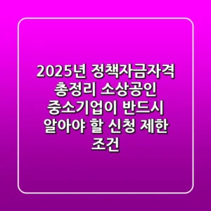 "2025년 정책자금자격 총정리", 소상공인 중소기업이 반드시 알아야 할 '신청 제한 조건'