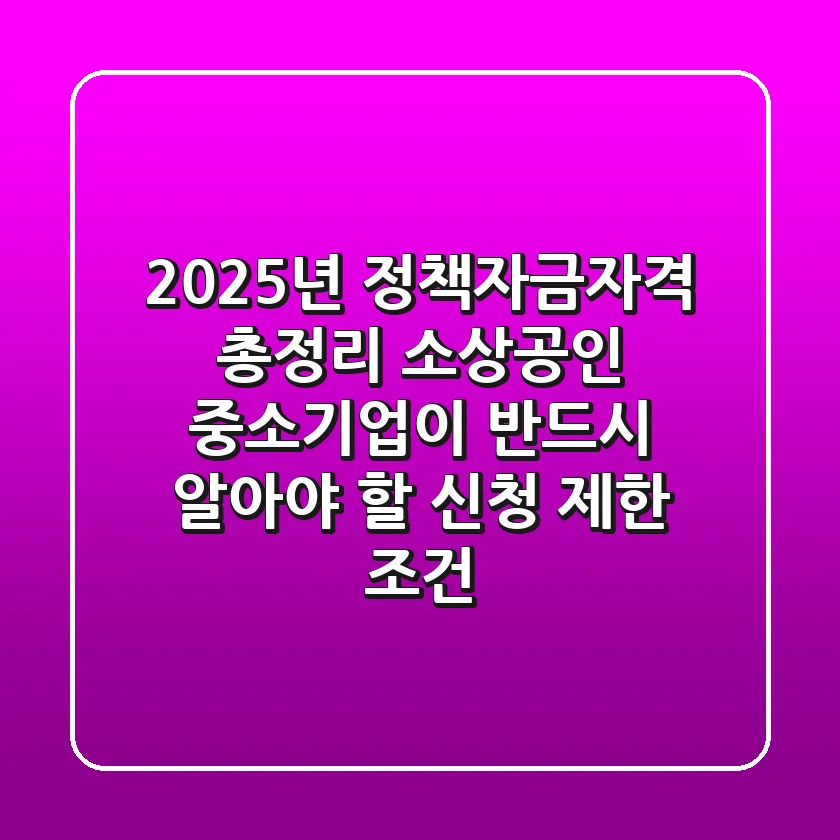 "2025년 정책자금자격 총정리", 소상공인 중소기업이 반드시 알아야 할 '신청 제한 조건'