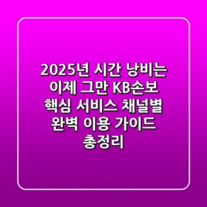"2025년, 시간 낭비는 이제 그만" KB손보 핵심 서비스 채널별 완벽 이용 가이드 총정리