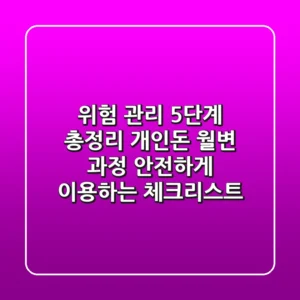 “위험 관리 5단계 총정리”, 개인돈 월변 과정 안전하게 이용하는 체크리스트