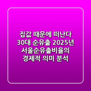"집값 때문에 떠난다" 30대 순유출, 2025년 서울순유출비율의 경제적 의미 분석