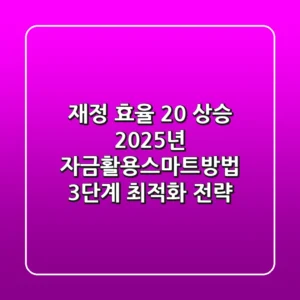 "재정 효율 20% 상승?", 2025년 자금활용스마트방법 3단계 최적화 전략